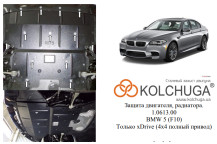 Захист двигуна для автомобіля BMW 5-й серії 528i (F10) 2010- V-3,0D; 2,0